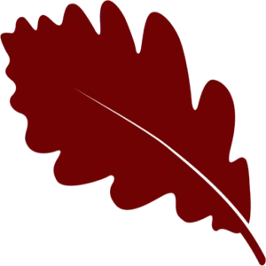 Oakcraft red leaf favicon - symbolising our commitment to sustainable oak buildings.